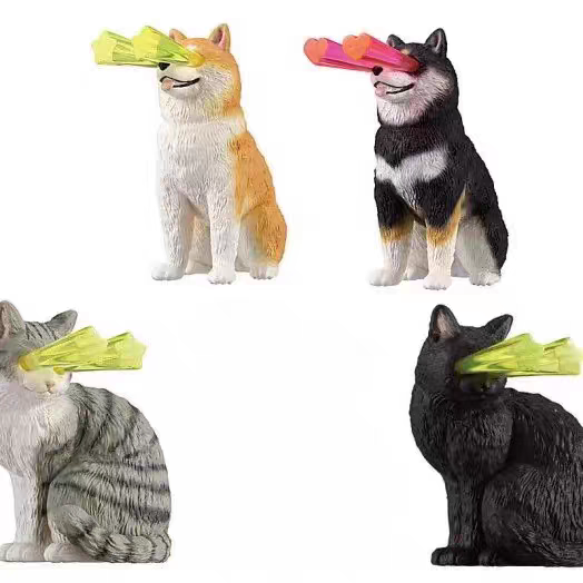 5629.png