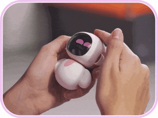 16877.gif